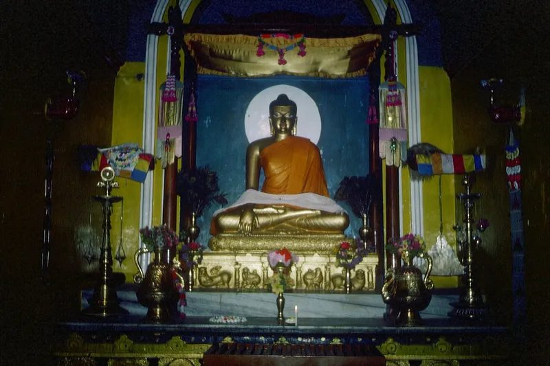Still image from the movie Meeting the Buddha